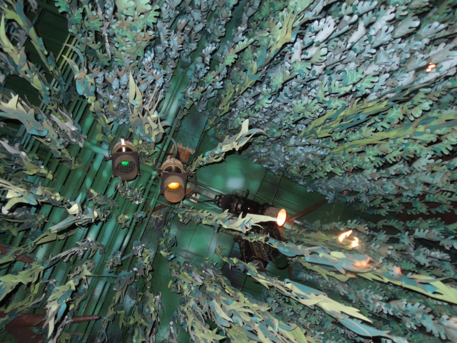 Disneyland Splash Mountain Ride Pictures